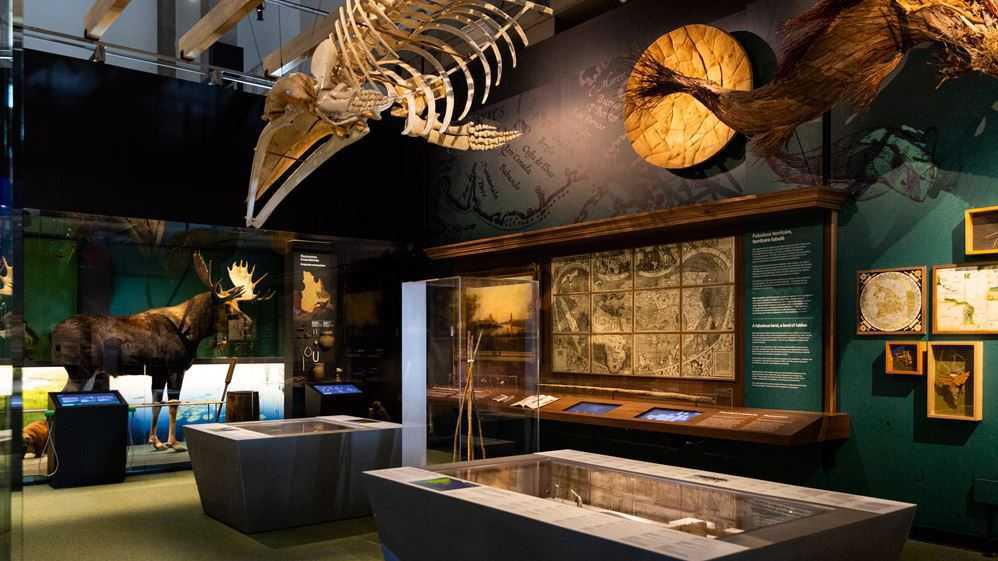 Your Guide To Musée de la Civilisation: Explore Society, Culture & History Your Guide To Musée de la Civilisation: Explore Society, Culture & History