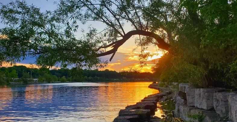 Your Complete Guide To Bayfront Park Your Complete Guide To Bayfront Park