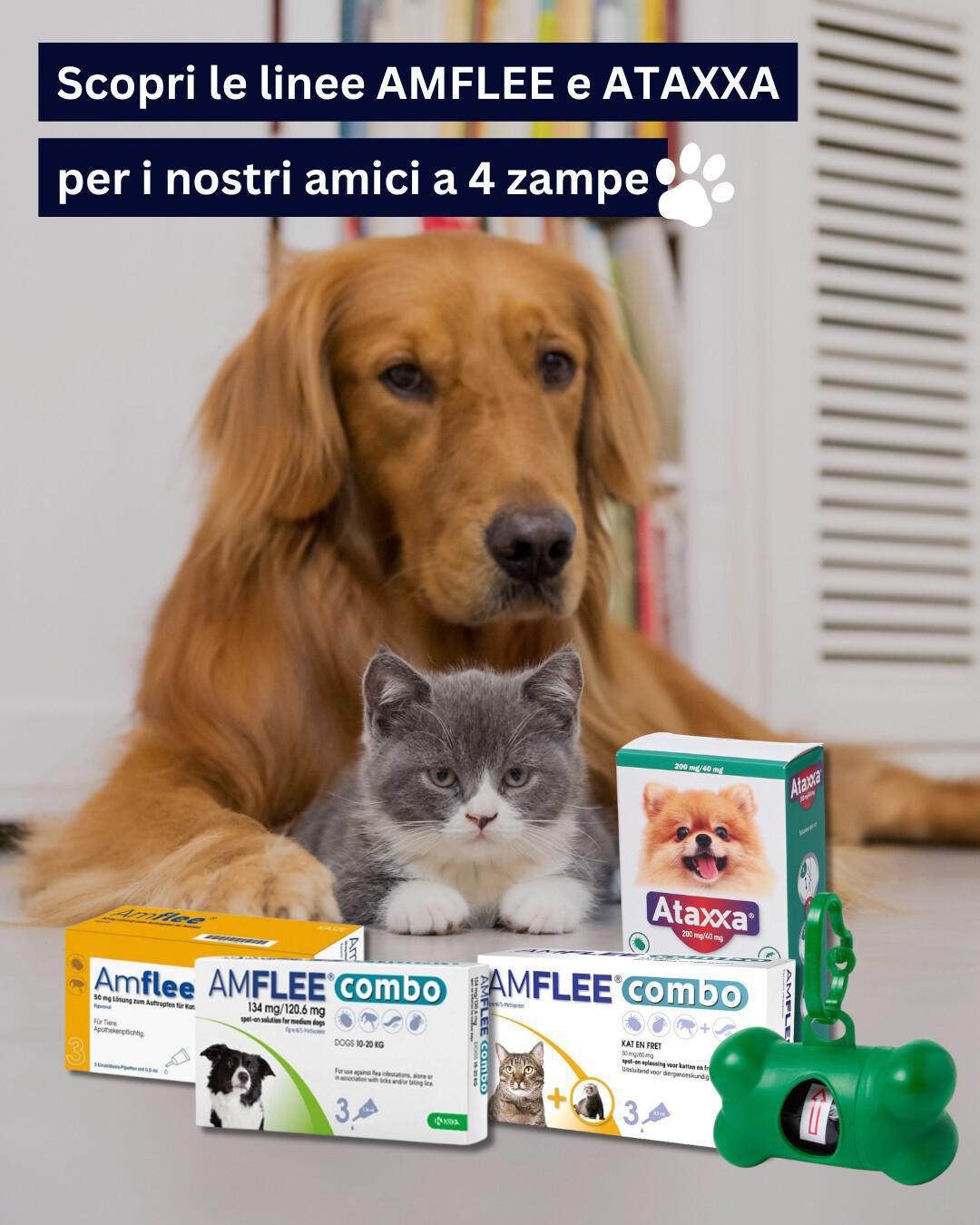 🐶🐱 Proteggi il tuo amico a quattro zampe