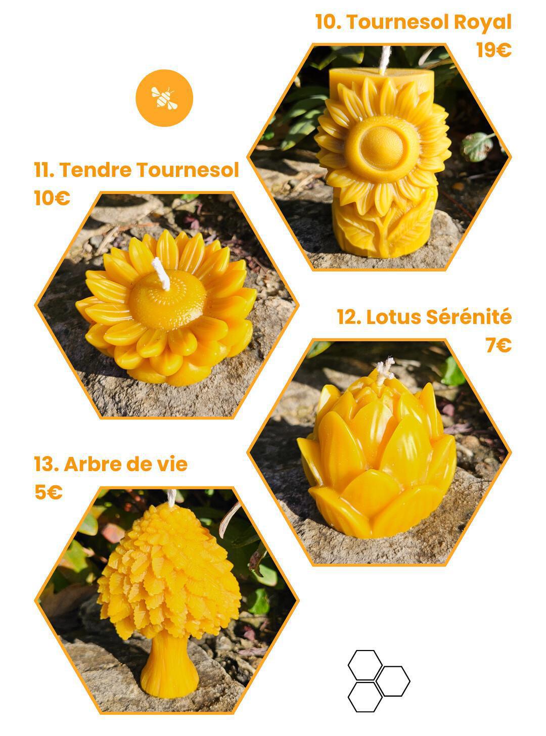 ✨ Bougies Cire d’Abeille !