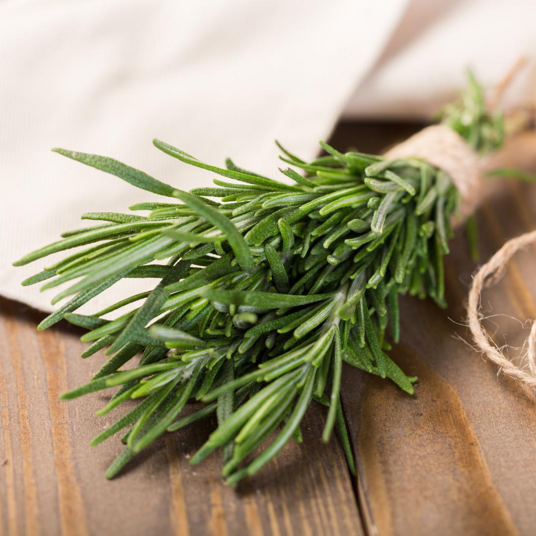 Romarin : Un stimulant naturel pour l’esprit et la digestion