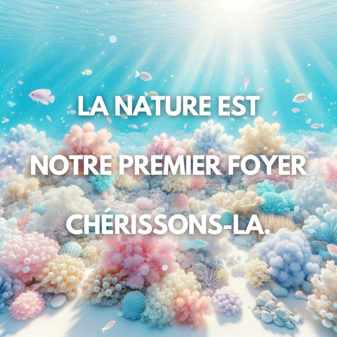 Citation 8
