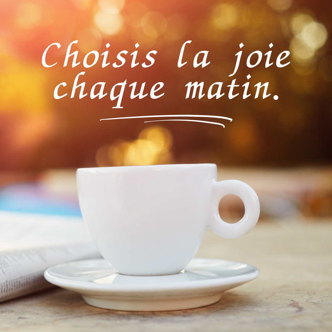 Citation 41