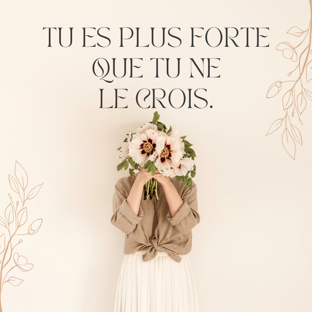Citation 24