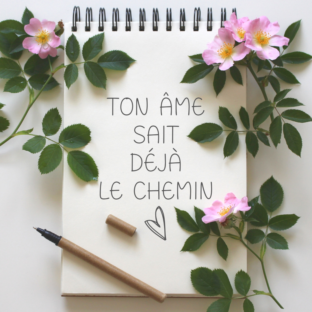 Citation 27