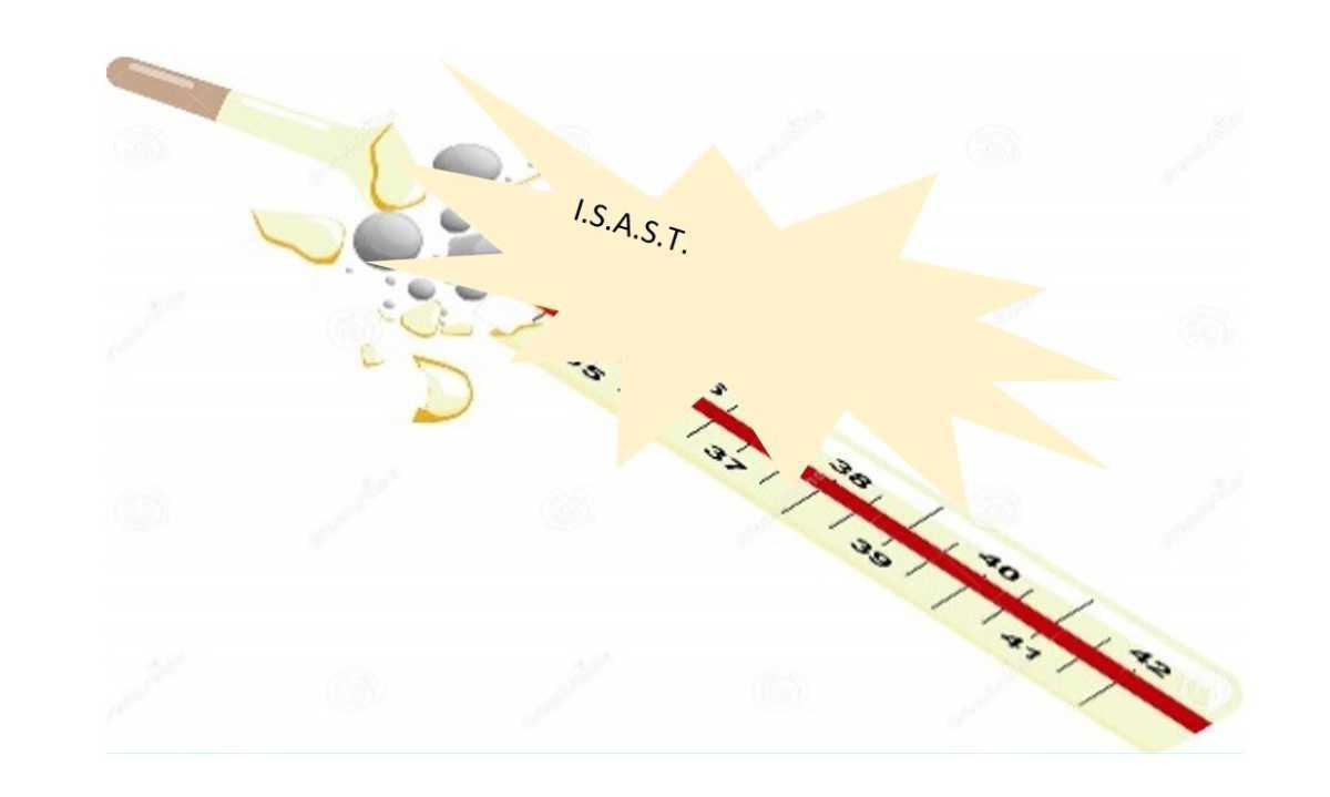Echo du CSE Bretagne · N° 8 · 29 aout 2024 Echo du CSE Bretagne · N° 8 · 29 aout 2024