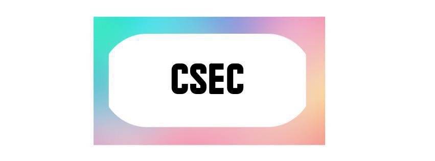 Point d’étape sur les tests IA Point d’étape sur les tests IA