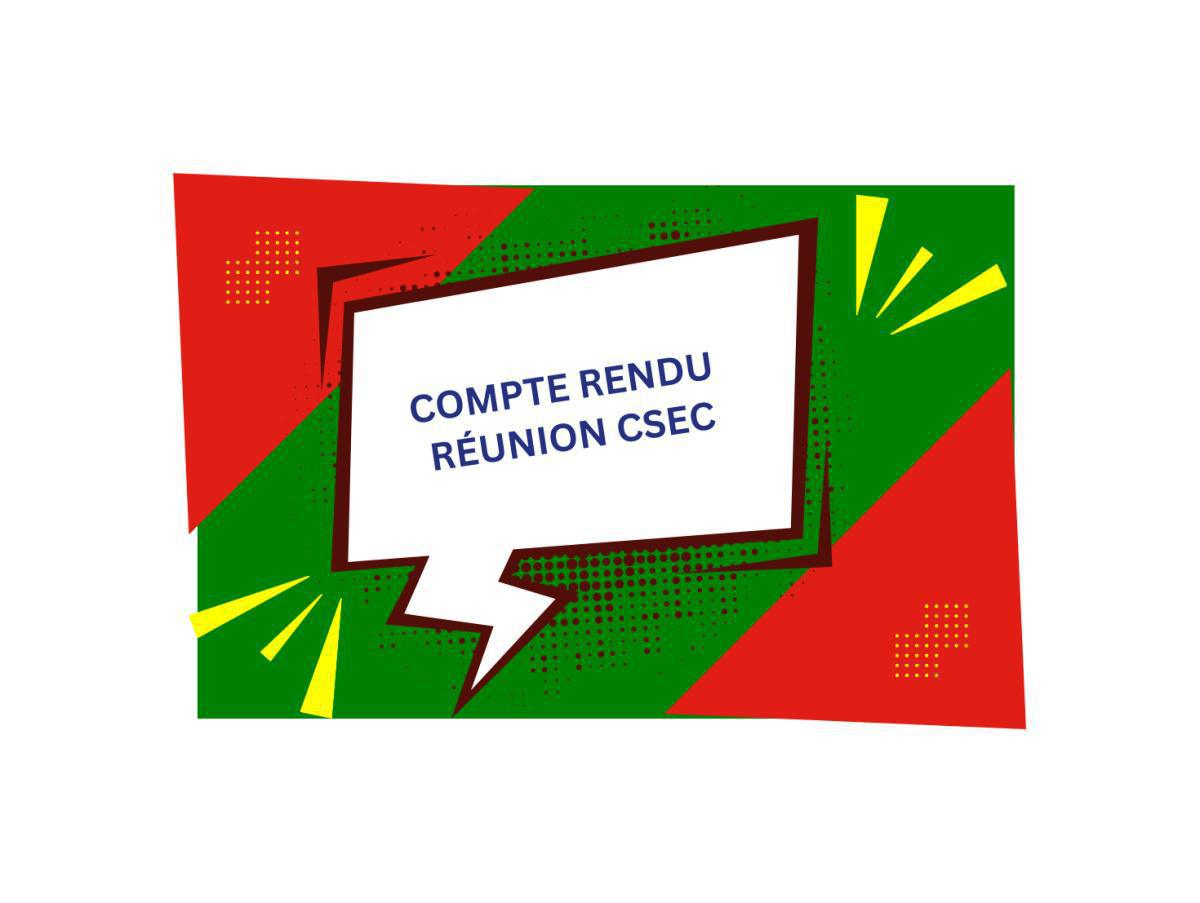 Compte Rendu du CSEC du 25 Février 2025 : Effectifs et gains d'efficience !