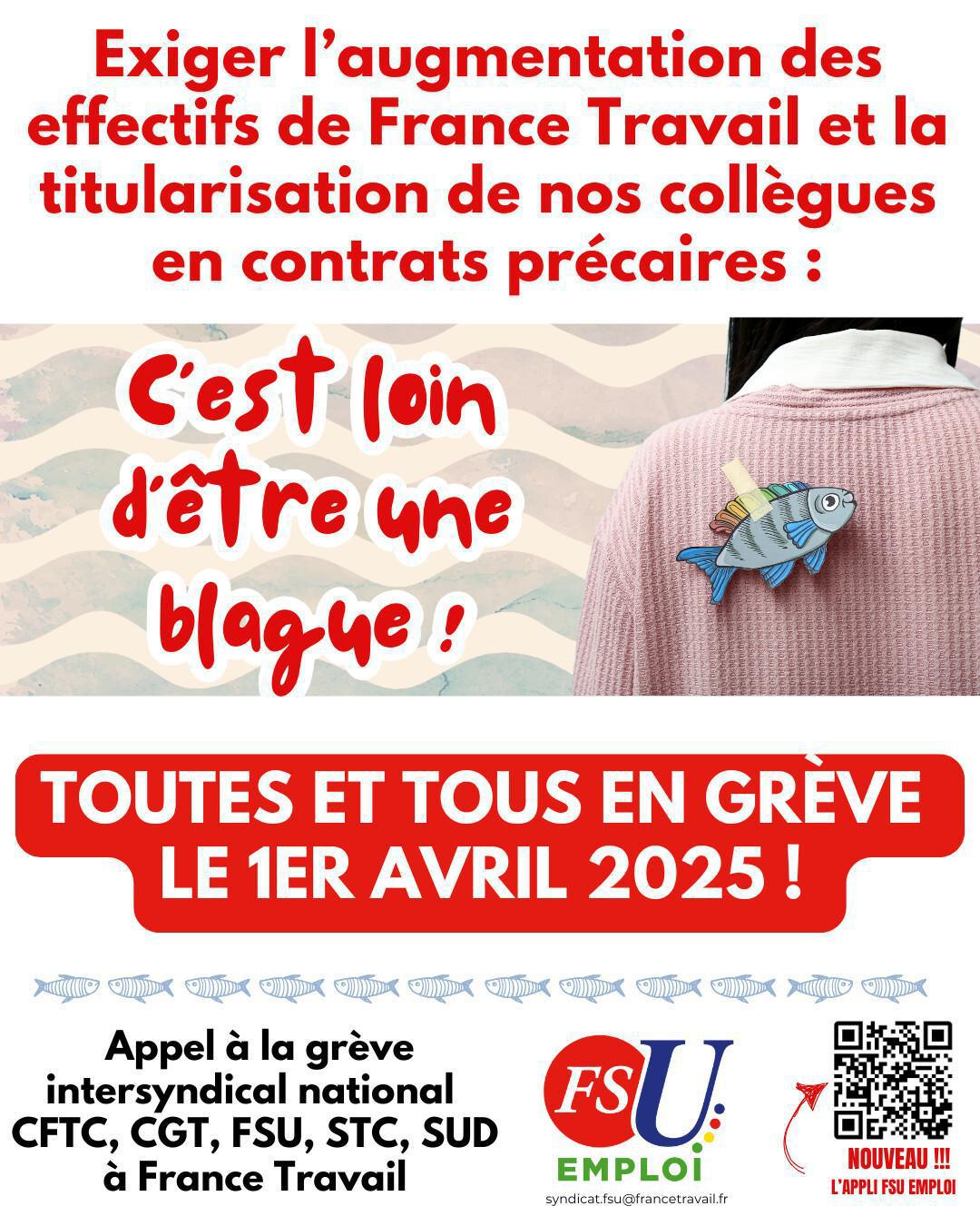 Newsletter 11/03/2025