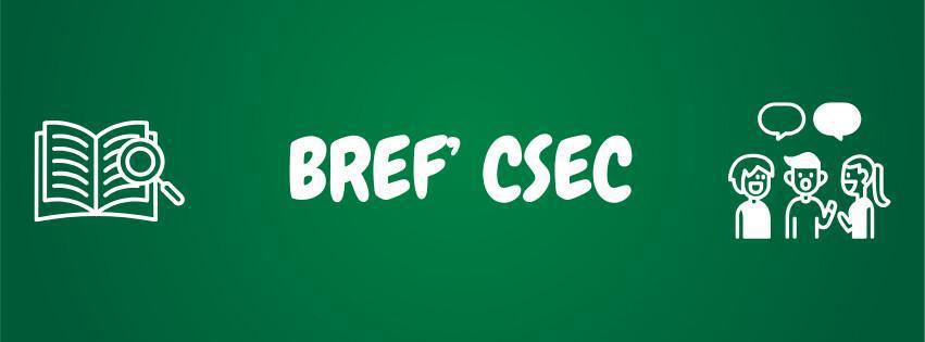 CSEC des 9 et 10 avril 2025 CSEC des 9 et 10 avril 2025