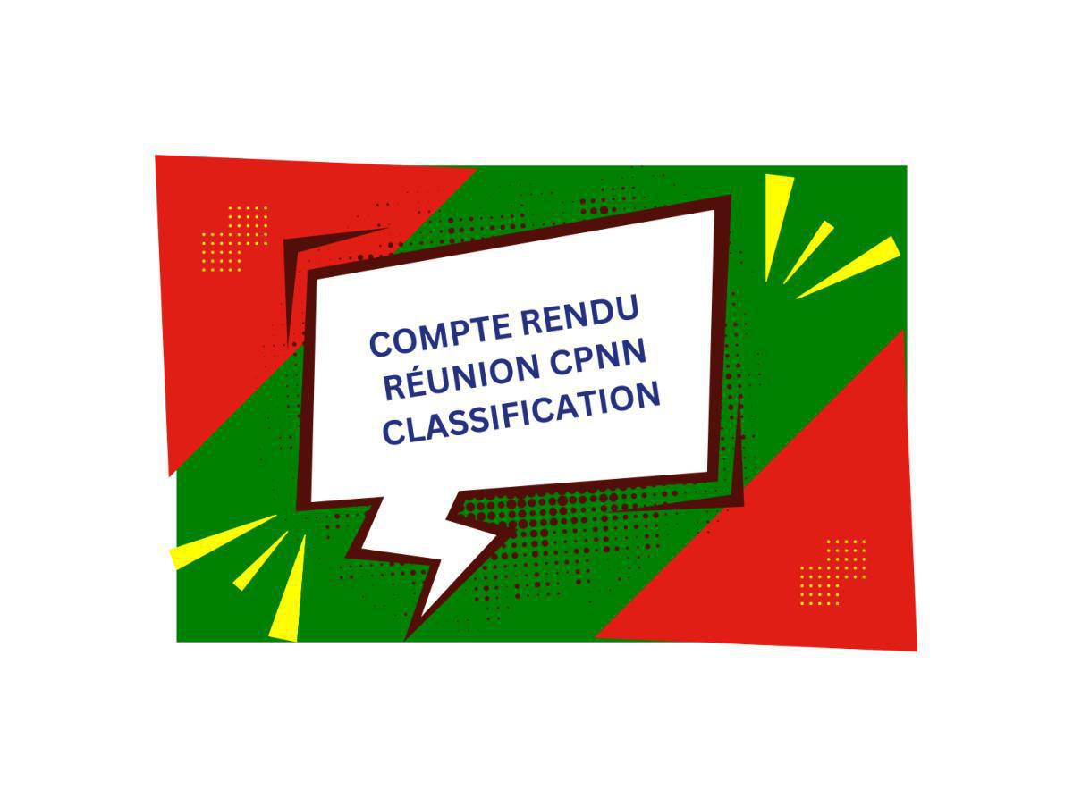 Compte Rendu de la CPNN Classification Compte Rendu de la CPNN Classification