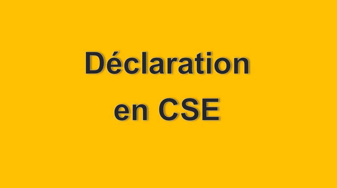 DÉCLARATION CONDITION DE TRAVAIL FSU EMPLOI NAQ CSE 22 MAI