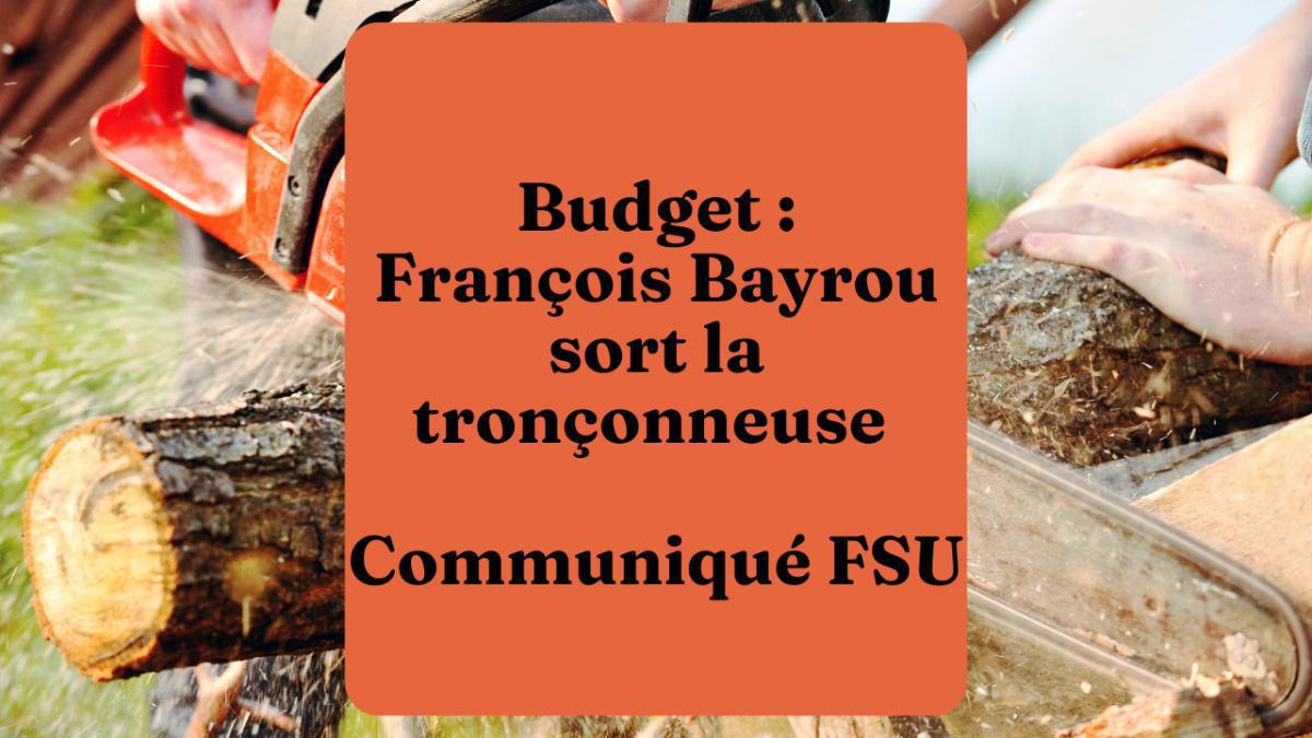 Budget : François Bayrou sort la tronçonneuse Budget : François Bayrou sort la tronçonneuse