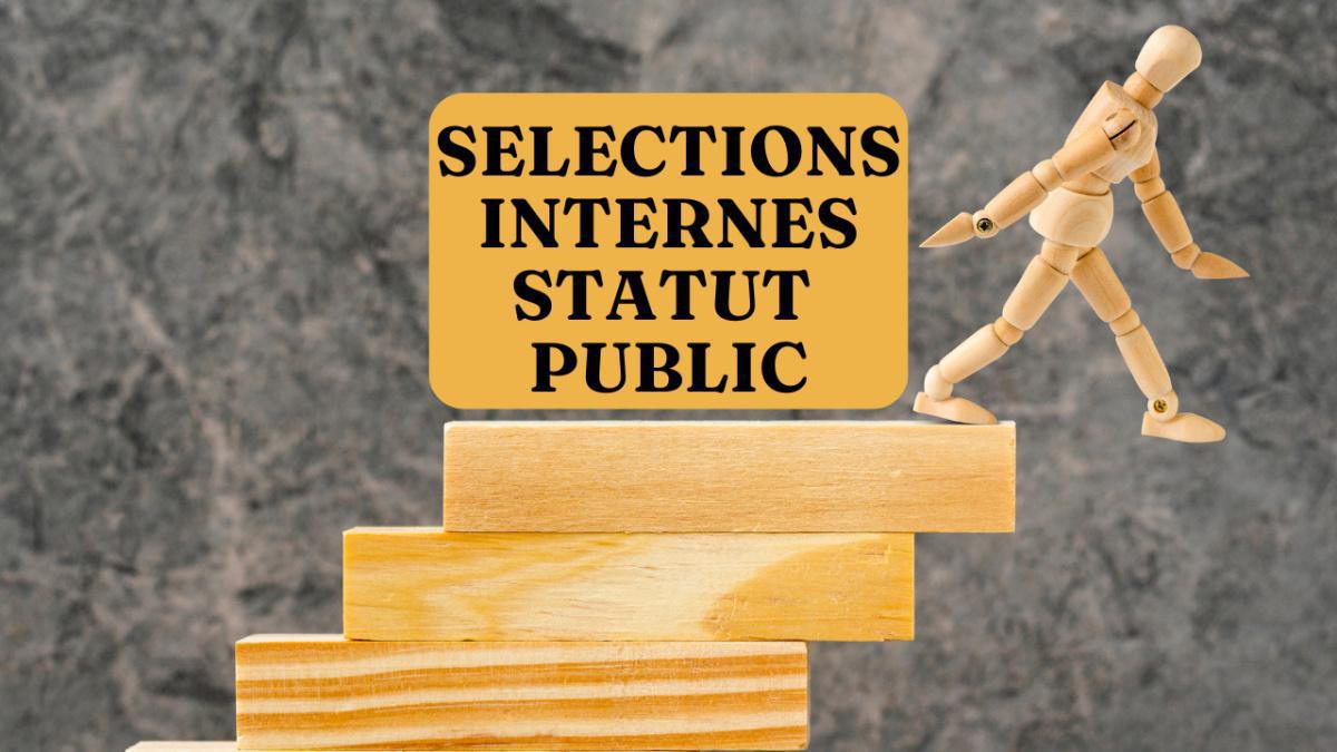 Statut public : sélection interne 2025