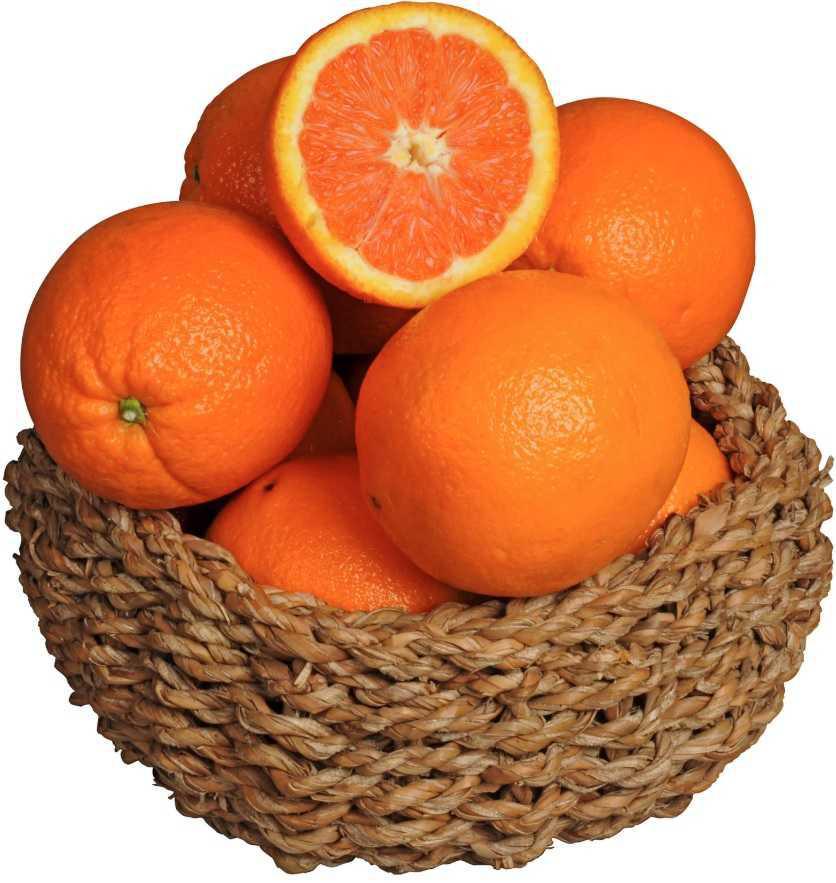 CSE Novembre 2025 : Y’a quand même un p’tit goût amer.... CSE Novembre 2025 : Y’a quand même un p’tit goût amer....