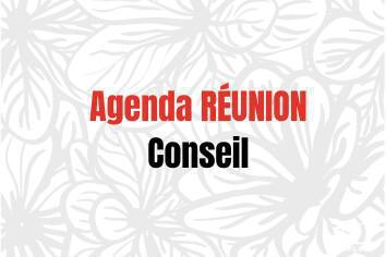 Conseil en distanciel