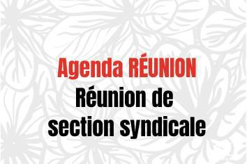 Réunion de section syndicale Nord ou Sud (au choix)