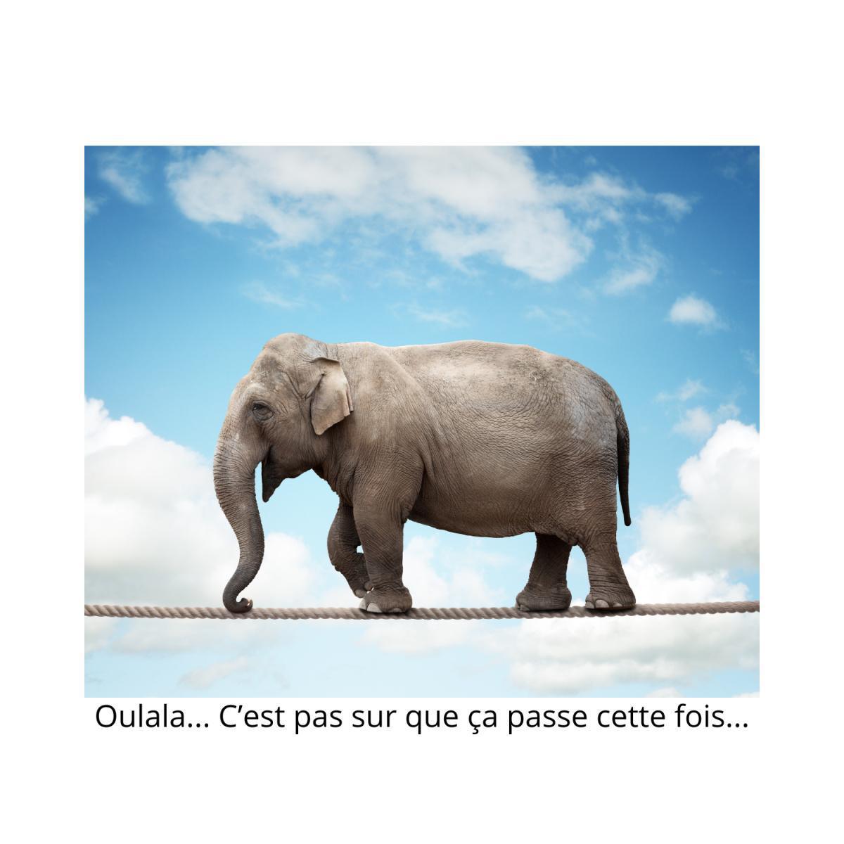 Synthèse de la déclaration de la FSU EMPLOI Pays de Loire au CSE du 29 Janvier 2026 *