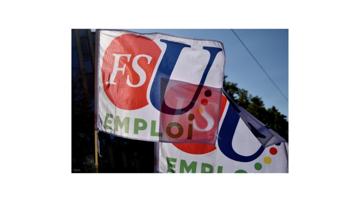 NAO la FSU Emploi prend ses responsabilités en signant NAO la FSU Emploi prend ses responsabilités en signant