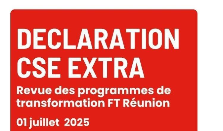 Déclaration de la FSU Emploi Réunion au CSE Extra du 1er juillet 2025
