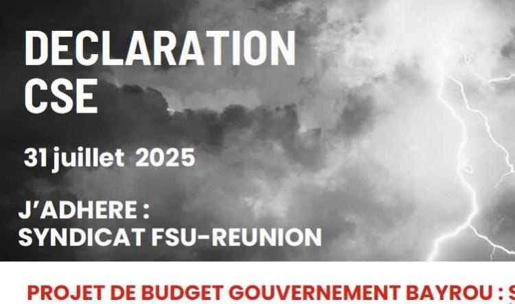 Déclaration de la FSU Emploi Réunion au CSE du 31 juillet 2025