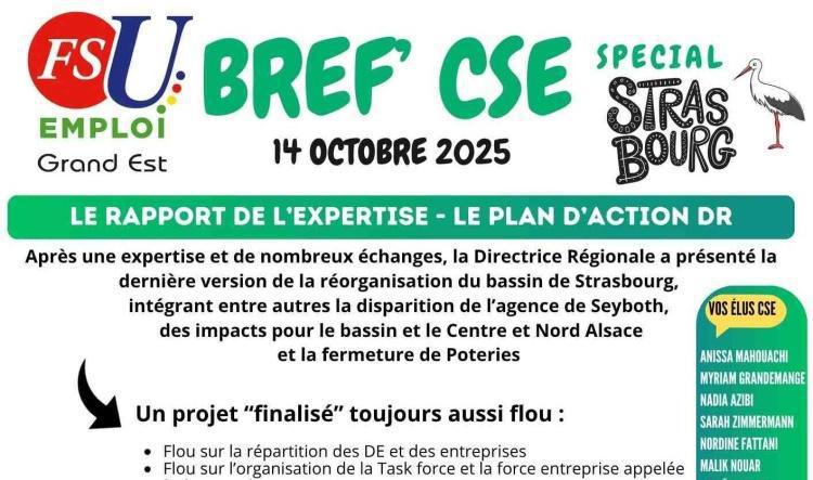 RAPPORT EXPERTISE STRASBOURG