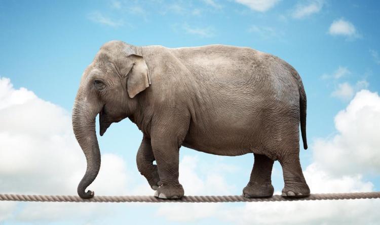 Synthèse de la déclaration de la FSU EMPLOI Pays de Loire au CSE du 29 Janvier 2026 *