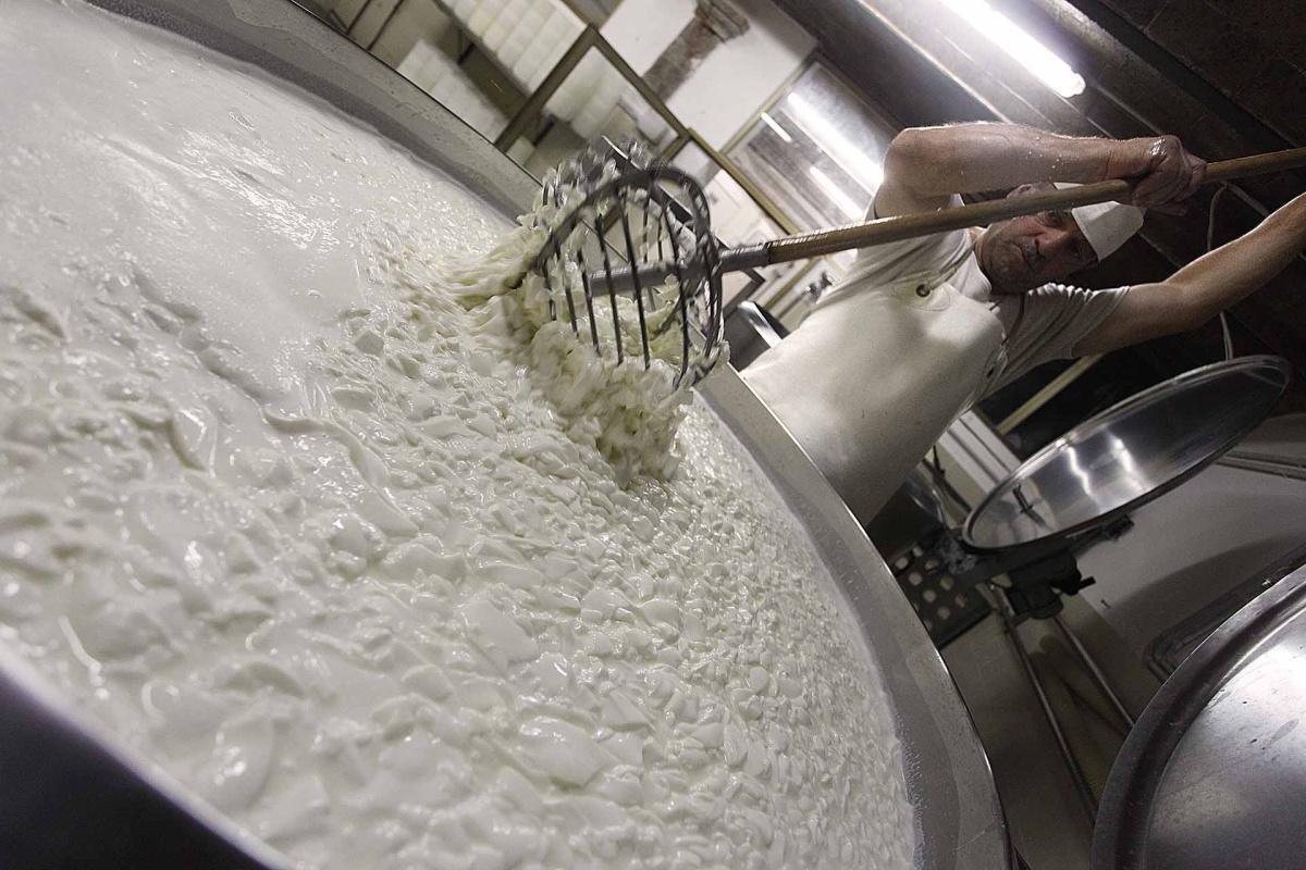 Fattoria Lischeto - l'arte del pecorino tra le argille volterrane Fattoria Lischeto - l'arte del pecorino tra le argille volterrane