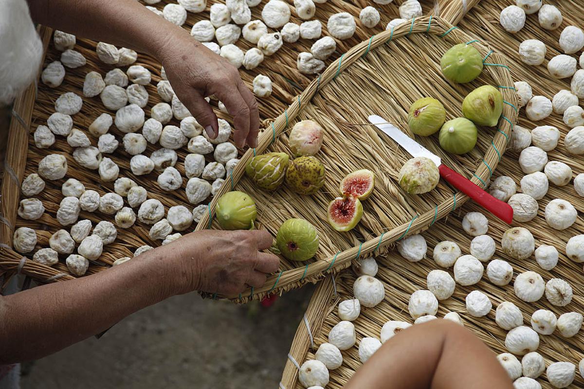 I Fichi bianchi del Cilento I Fichi bianchi del Cilento
