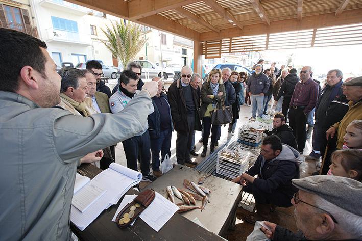 La sarda sostenibile selinuntina La sarda sostenibile selinuntina