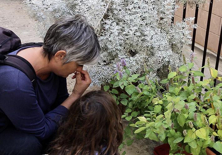 Casa dell’Aromatario B&B Casa dell’Aromatario B&B