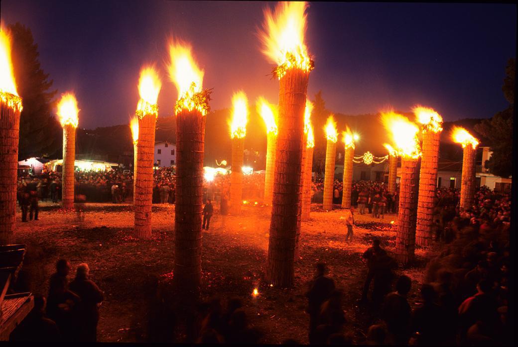 Gli alberi di fuoco Gli alberi di fuoco
