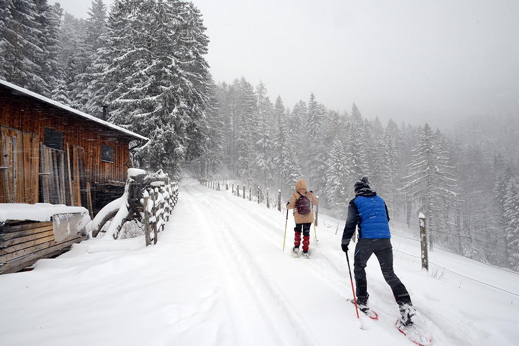 Val d’Ega, ciaspolata a passo lento Val d’Ega, ciaspolata a passo lento