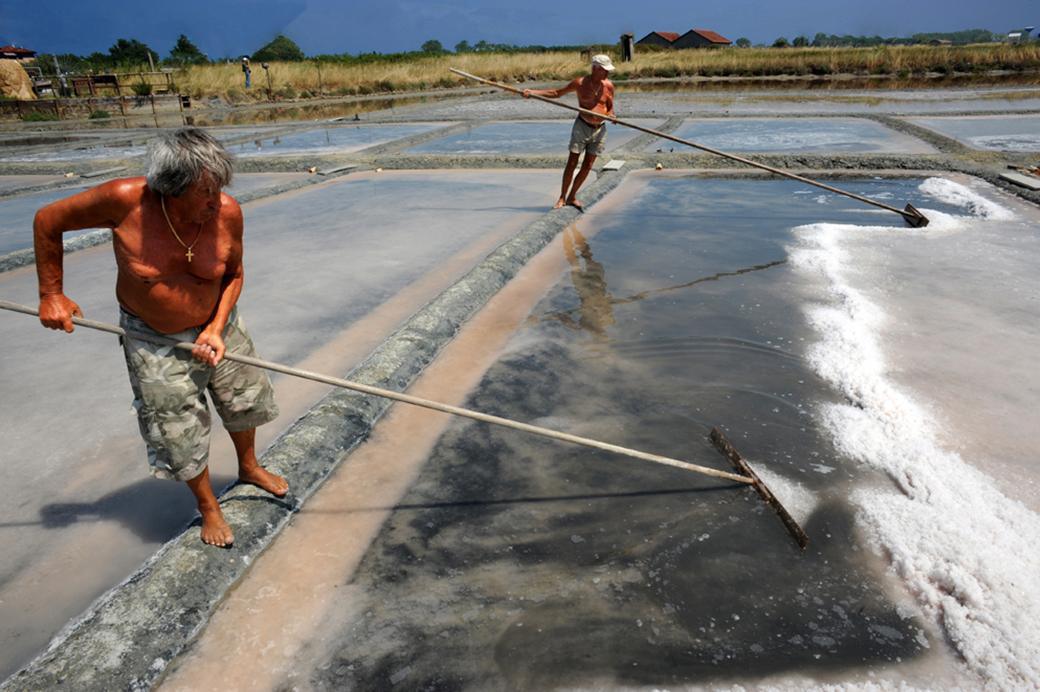 Cervia, il sale degli Etruschi Cervia, il sale degli Etruschi