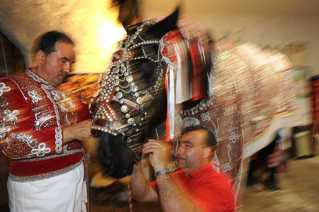 Ostuni, i cavalli di Sant’Oronzo Ostuni, i cavalli di Sant’Oronzo