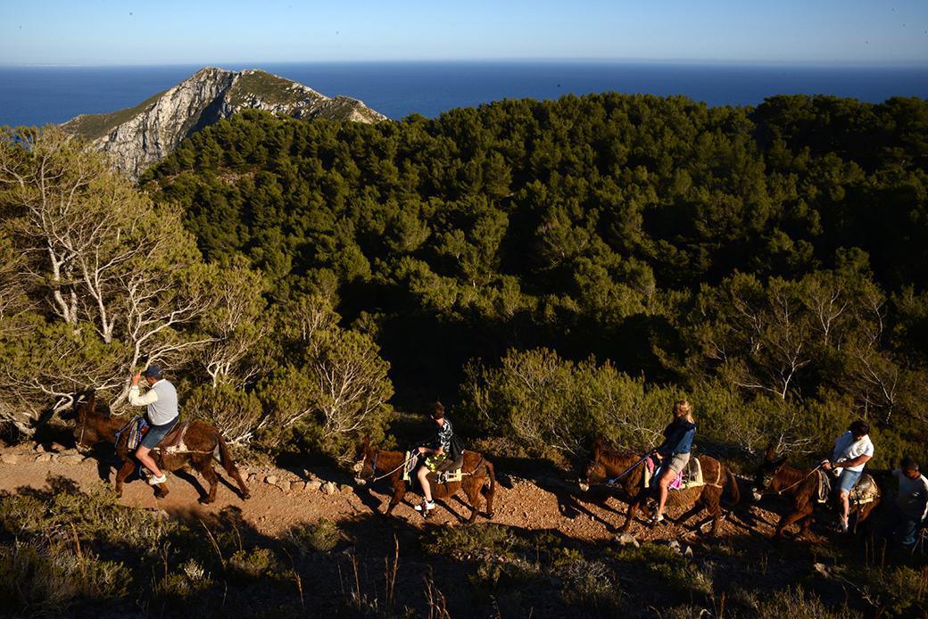 Gli asini di Nino Gli asini di Nino