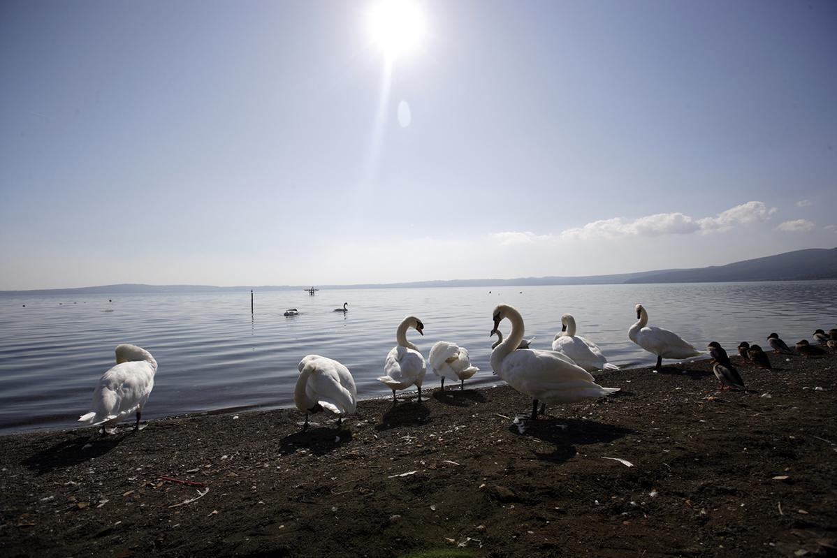 Lago di Bracciano Lago di Bracciano