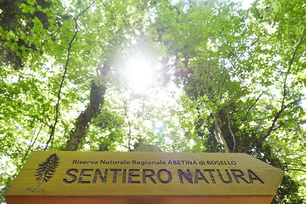 Riserva Naturale Regionale Abetina di Rosello
