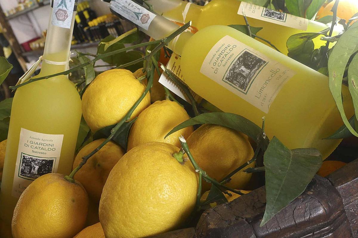 I Giardini di Cataldo: l'ombra profumata del fondo Petrulo