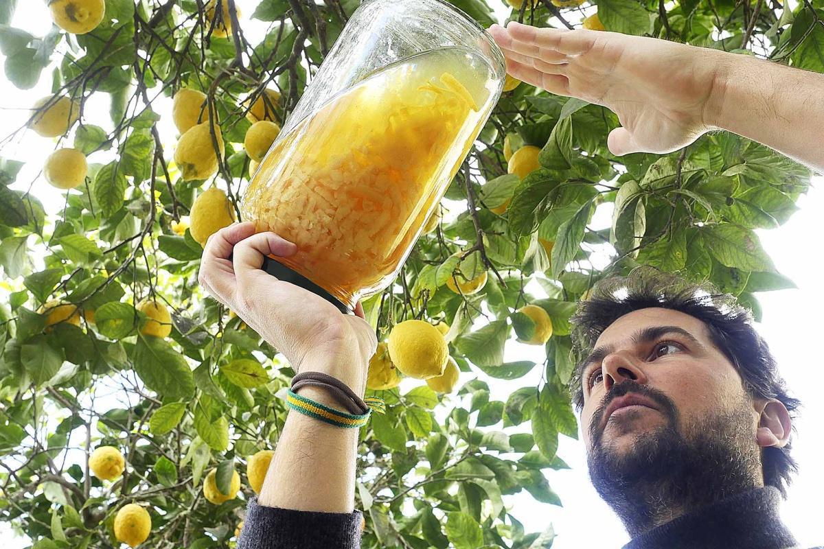 Nastro d'Oro: l'alchimia degli aromi di Massa Lubrense