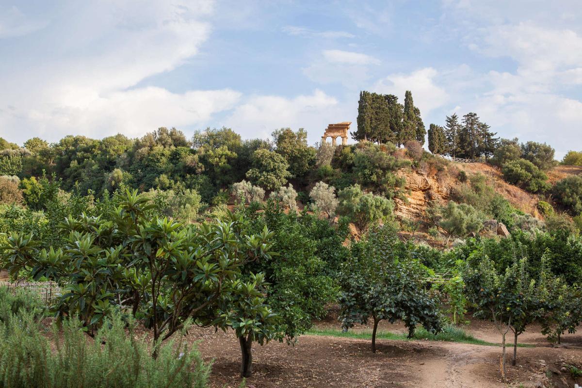 Il Giardino della Kolymbethra e gli ipogei nella Valle dei Templi