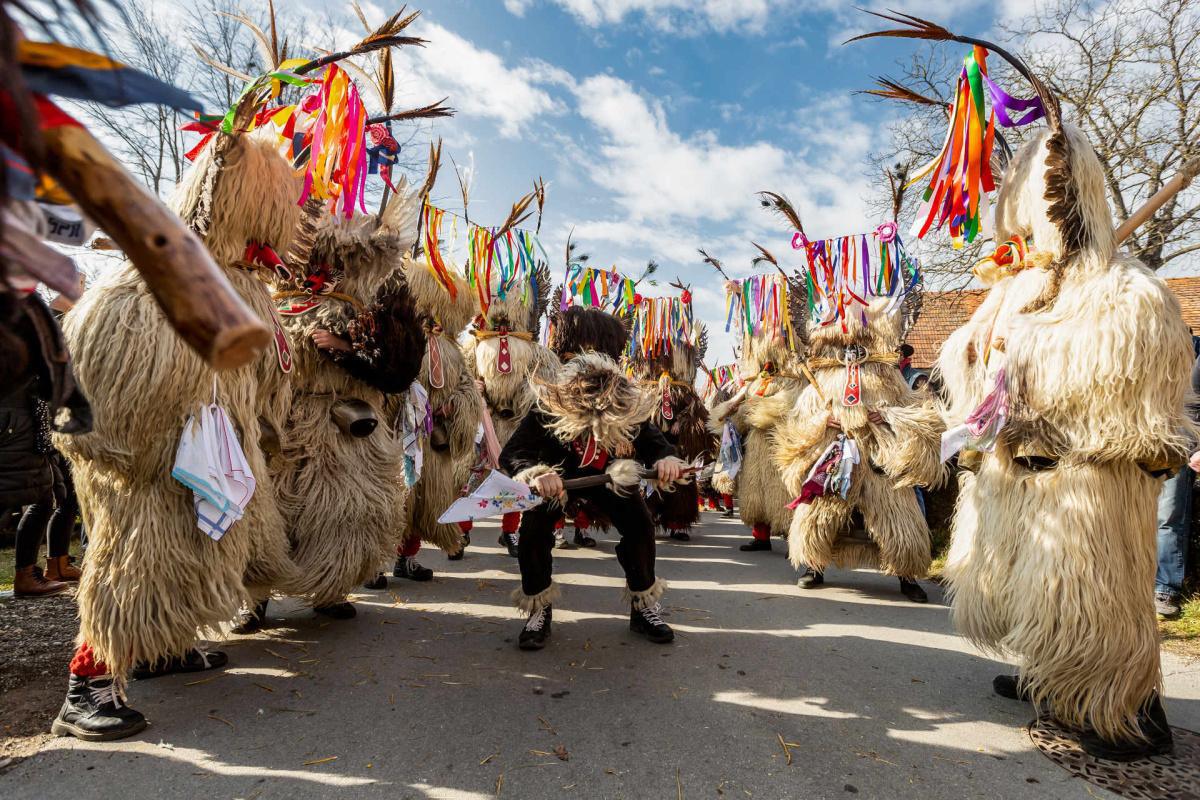 Carnevale delle Maschere Zoomorfe tra le strade di Isernia Carnevale delle Maschere Zoomorfe tra le strade di Isernia