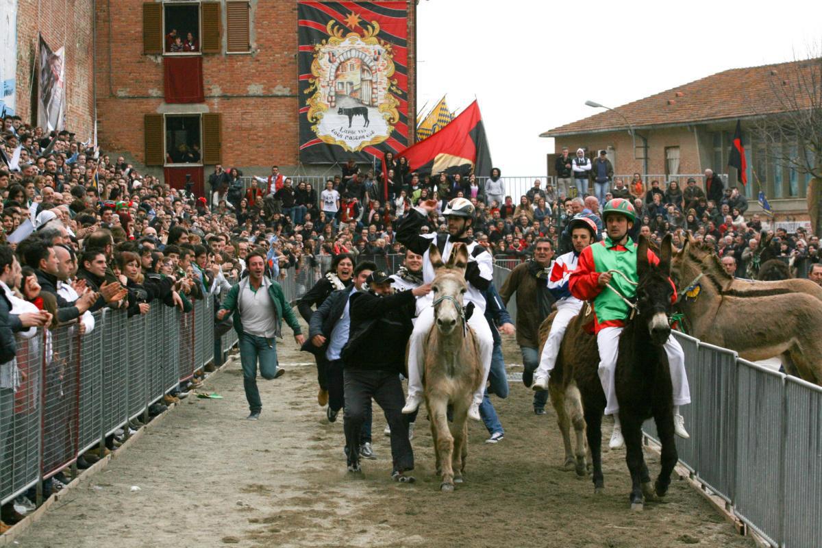 Il Palio dei Somari a Torrita di Siena: il rito della terra