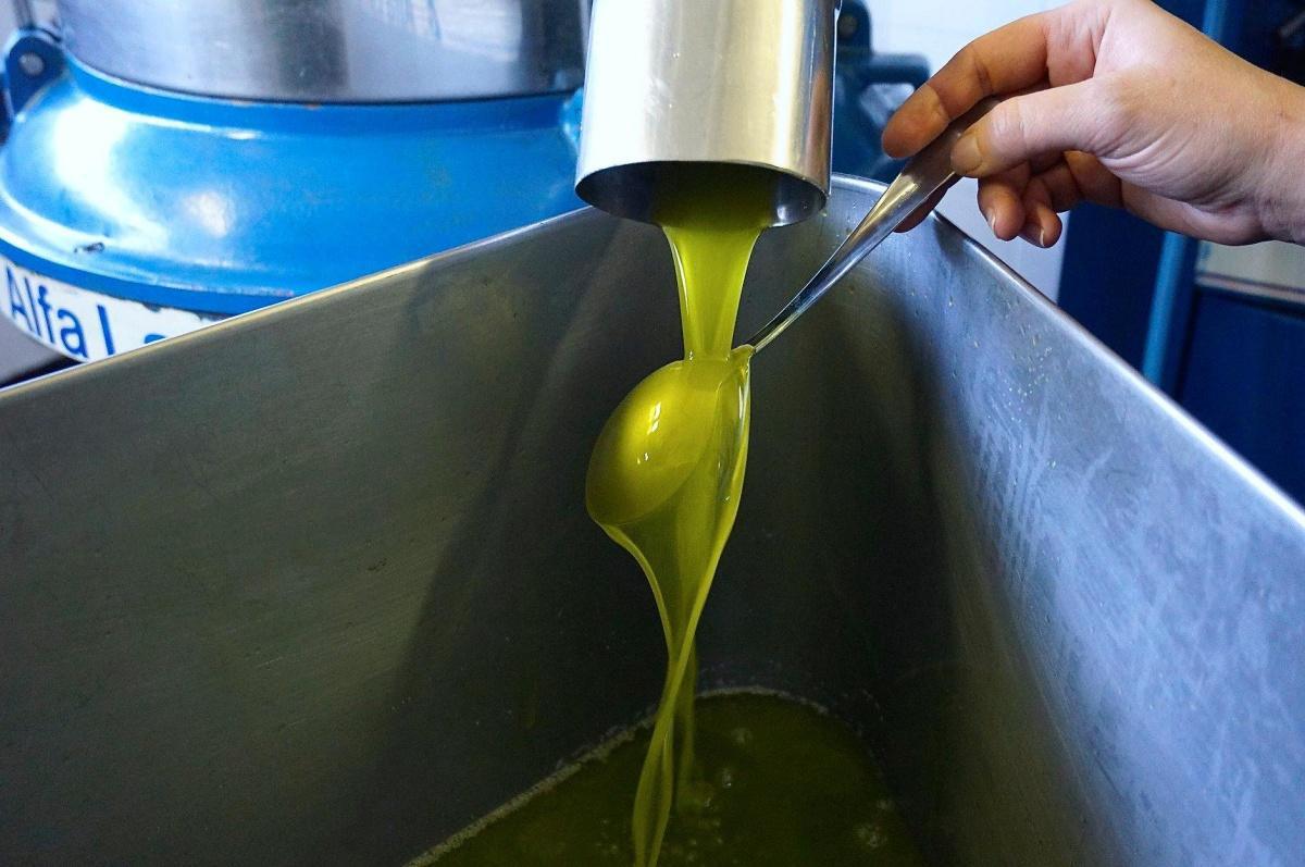 Il Frantoio di Sovana: l'oro verde di Antonio Merli Il Frantoio di Sovana: l'oro verde di Antonio Merli