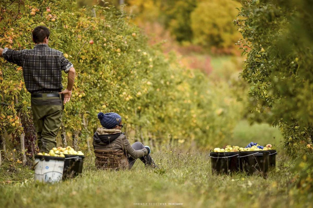 Melise: il ritorno alla terra nel borgo di Castel del Giudice