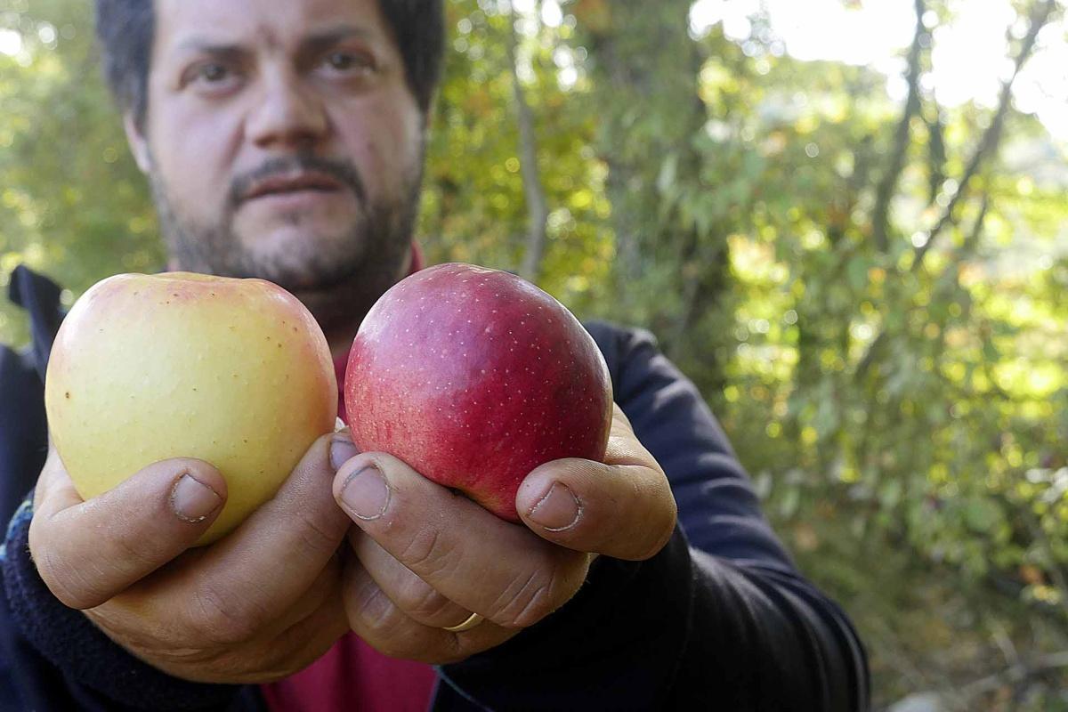 Melise: il ritorno alla terra nel borgo di Castel del Giudice Melise: il ritorno alla terra nel borgo di Castel del Giudice
