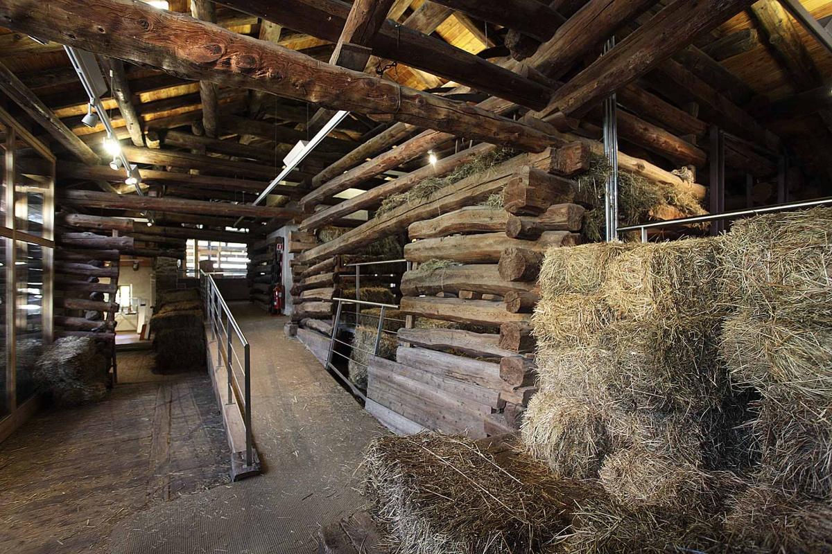 Maison Gérard-Dayné a Cogne - l'anima della pietra e del legno