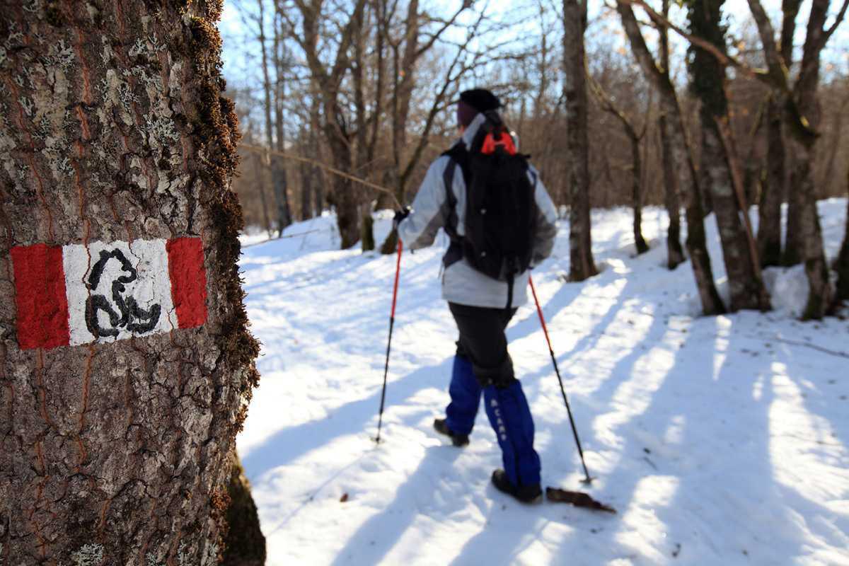 La Camosciara La Camosciara