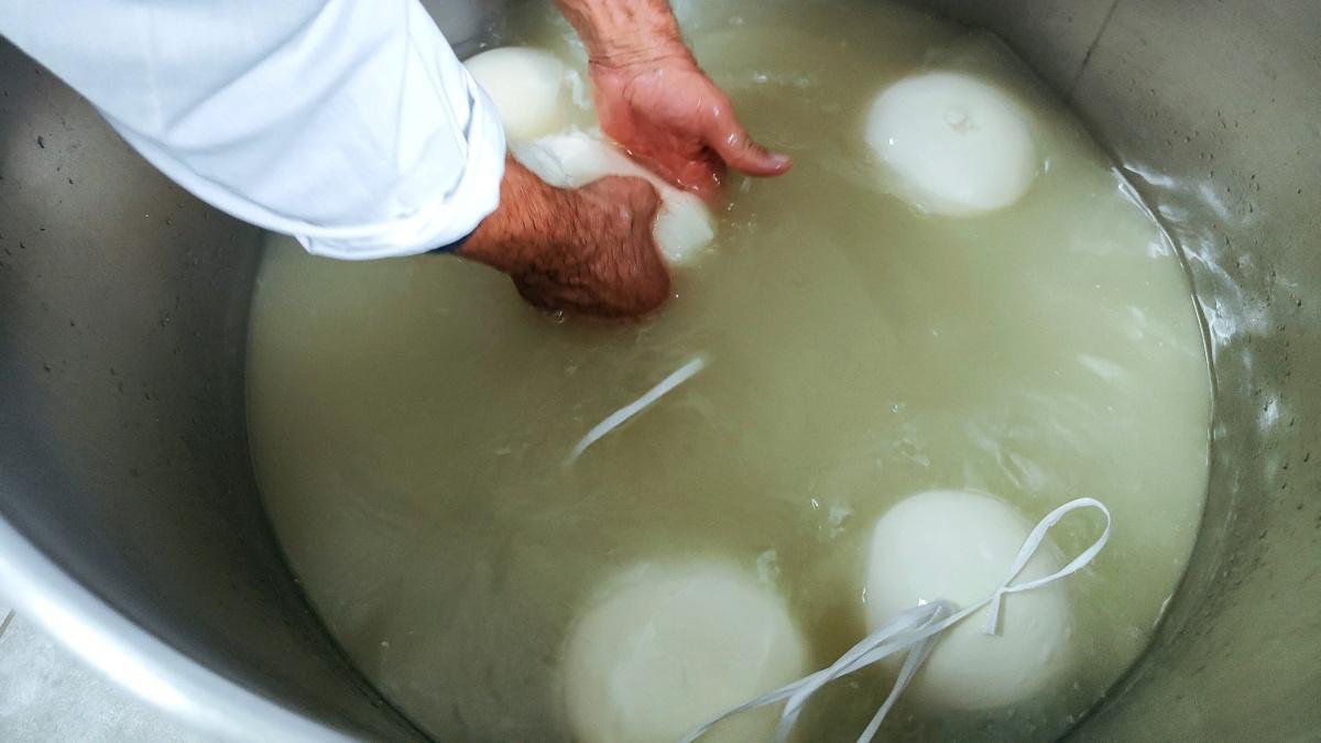 L’essenza di Valle Orsara nell’Azienda Agricola Mario Maddalena