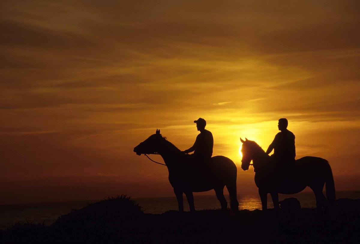 Parco della Giara: l’altopiano dei cavalli selvaggi e degli alberi bandiera Parco della Giara: l’altopiano dei cavalli selvaggi e degli alberi bandiera